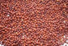 Picture of Finger Millet (Ragi)-கேழ்வரகு (500gm)