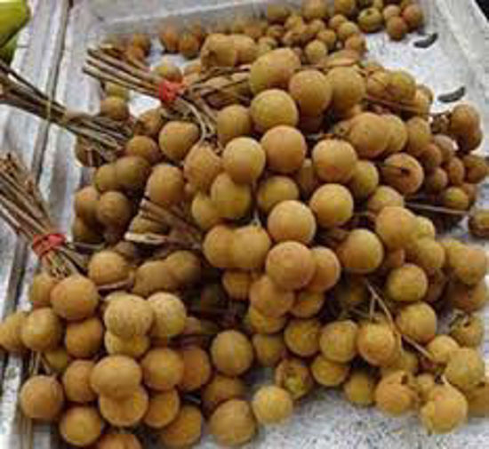 Picture of Longan -1 box ( 10 Kg )