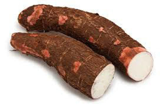 Picture of Fresh Tapioca -Malaysia