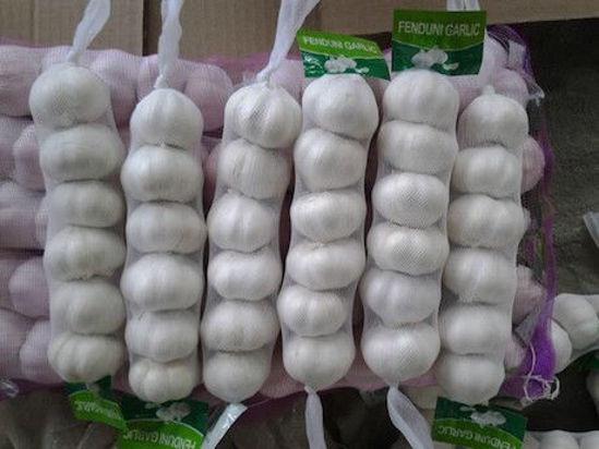 Picture of Roll Garlic