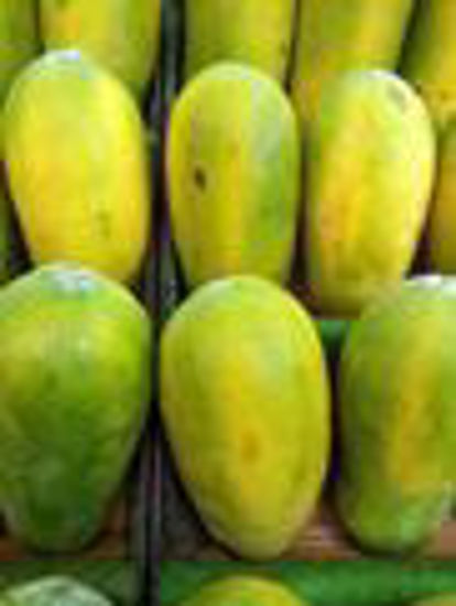 Picture of PAPAYA - 1 Kg