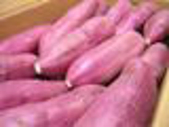 Picture of Sweet Potato-( 5Kg Box)