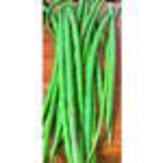 Picture of Drumstick-Box(Thai)