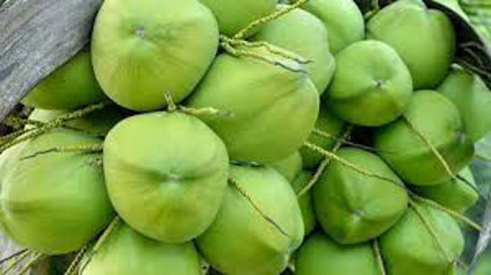 Picture of Tender Coconut