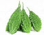 Picture of Thai Bitter Gourd-(5Kg Bags)