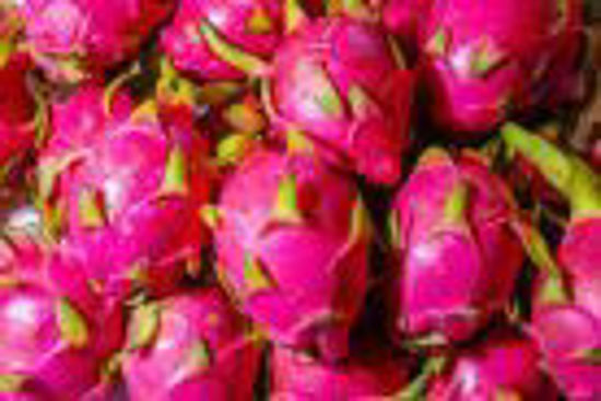 Picture of Dragan fruits-1Kg or Box