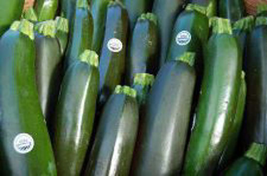 Picture of Zucchini (1 Box)