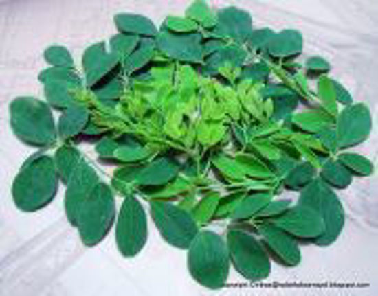 Picture of Murungai Keerai (1Kg)