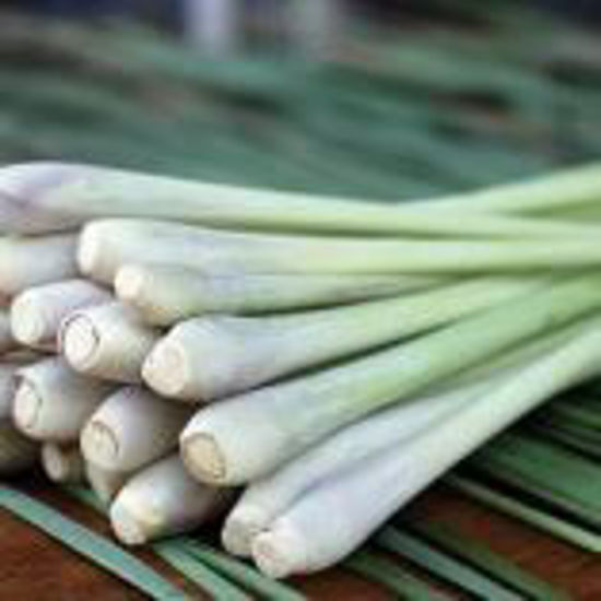 Picture of Lemon Grass-1Kg